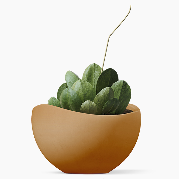 shop-12-img-7-gallery-1 f