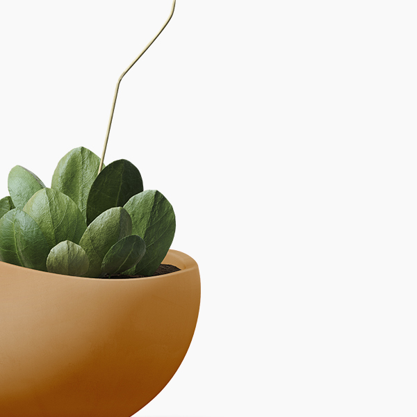 shop-12-img-7-gallery-2 f