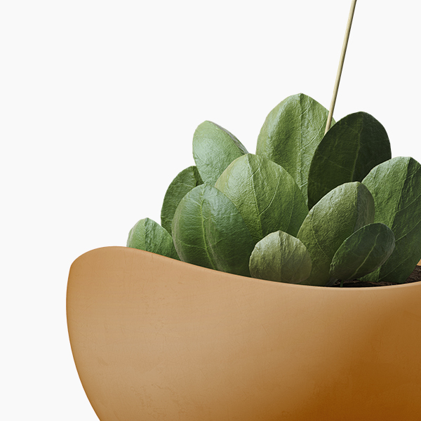 shop-12-img-7-gallery-3 f