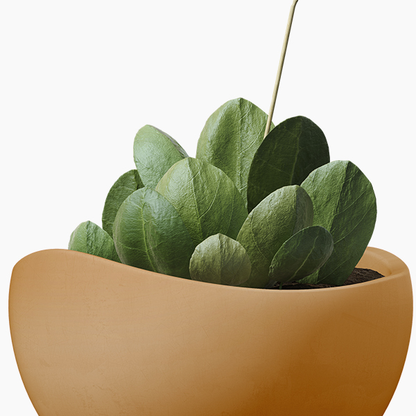 shop-12-img-7-gallery-4 f